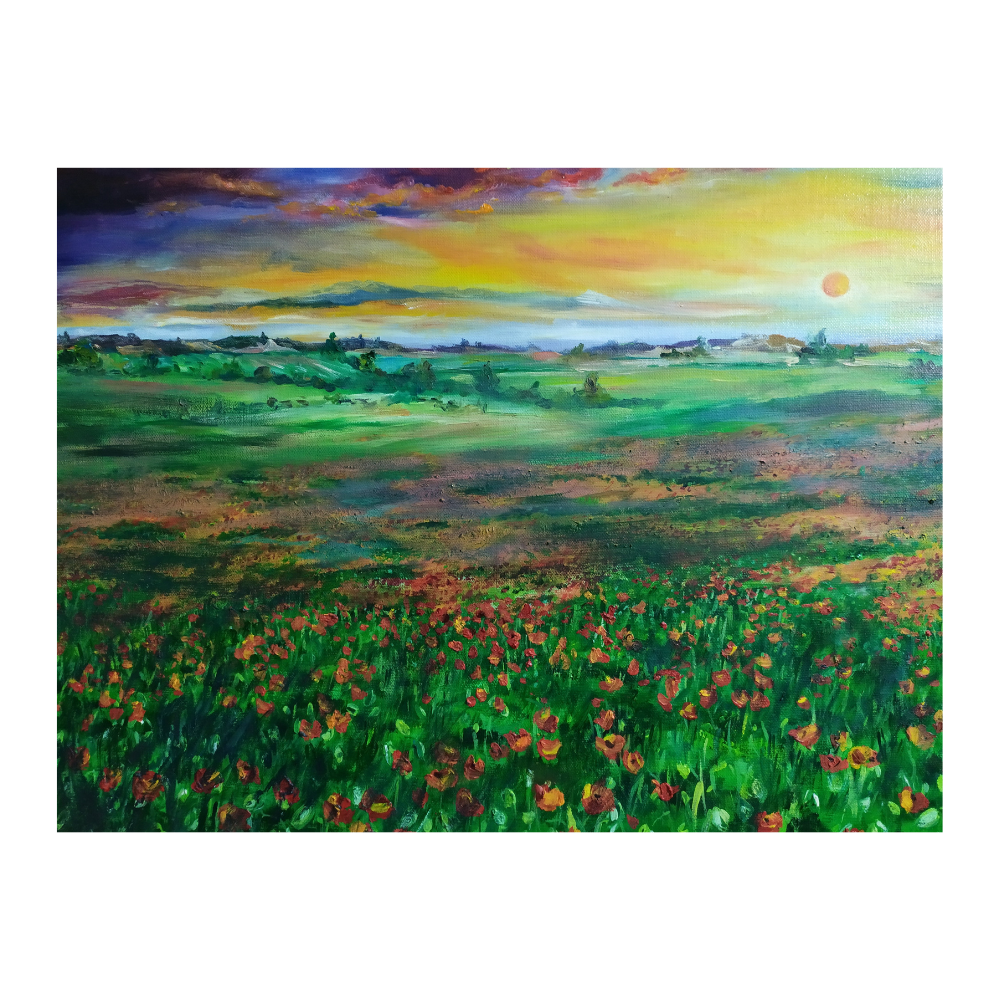 Coquelicots au soleil couchant