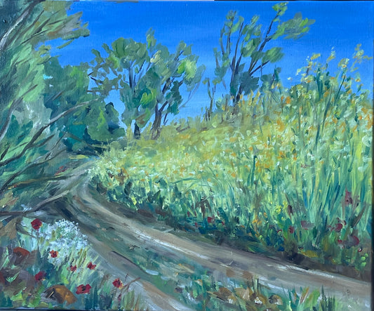 champ de colza -technique huile