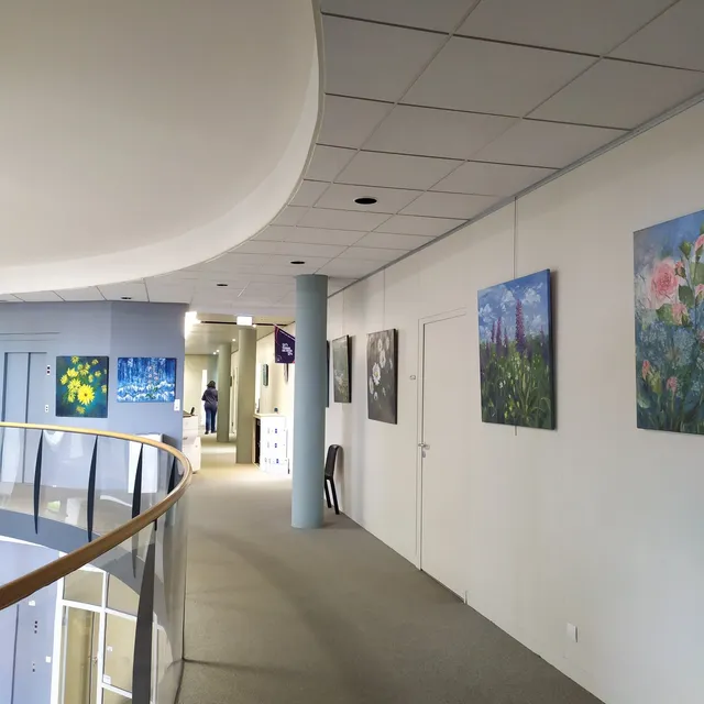 Exposition à la mairie de Château-Gontier, photo 1