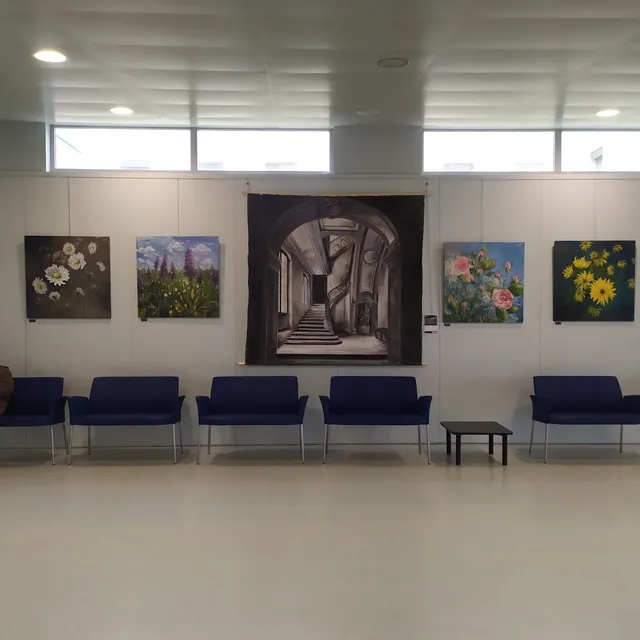 Exposition au pôle santé Sarthe et Loir, photo 1