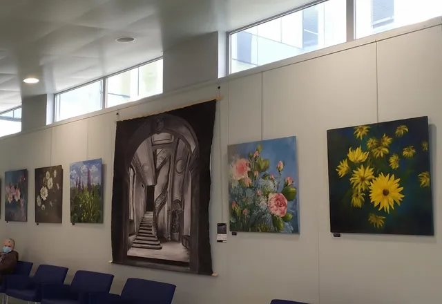 Exposition au pôle santé Sarthe et Loir, photo 2