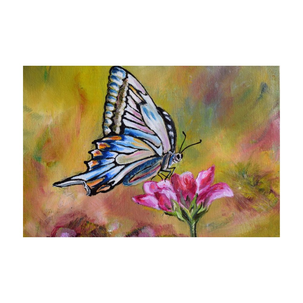 Papillon dans sa splendeur, œuvre de Fabienne Goubaud